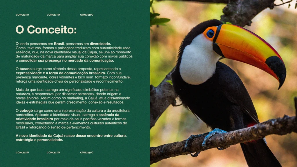 Identidade Visual Brasileira _ Cajuá_1789678624882